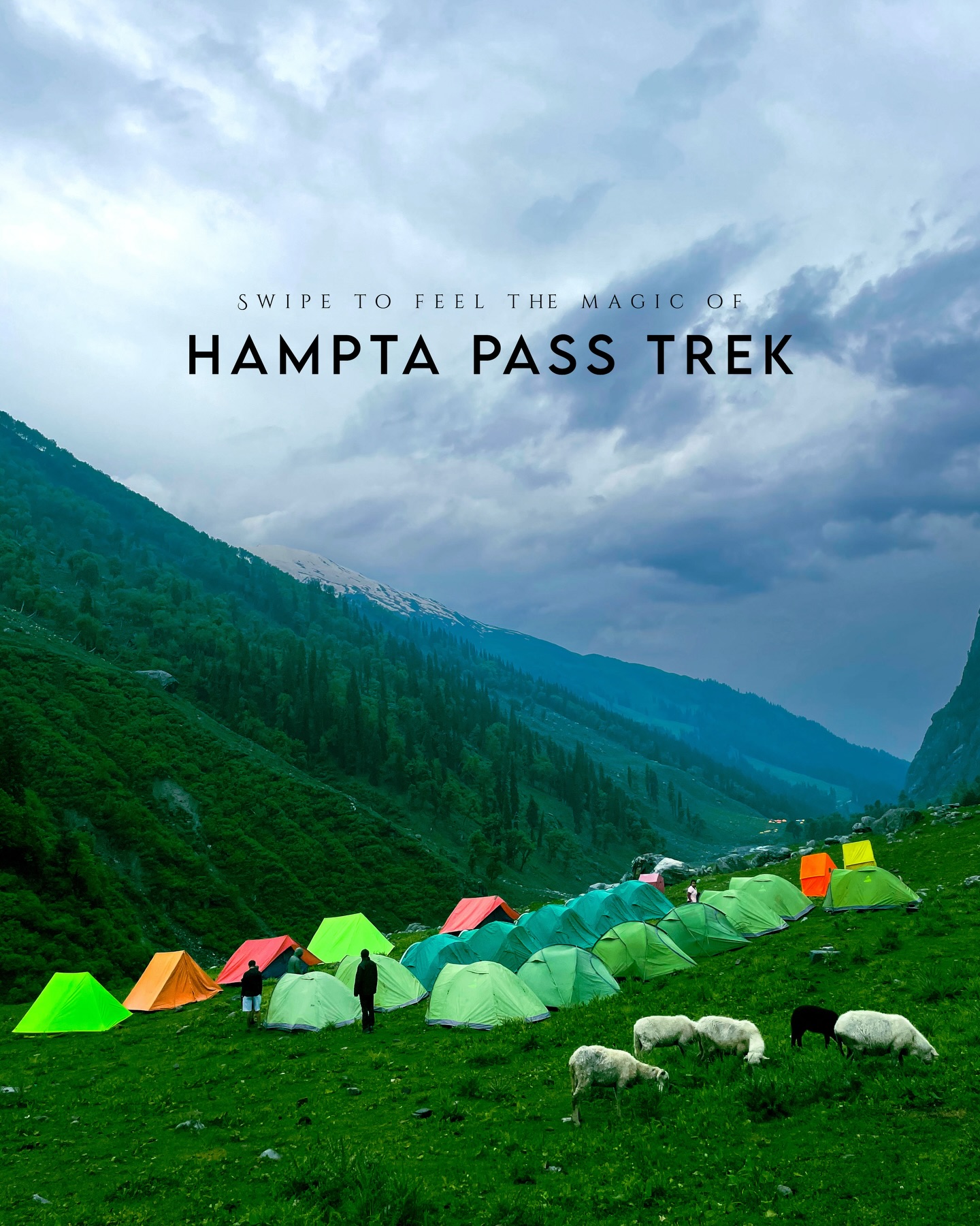 HUMTA PASS TREK GROUP TOUR, TRIP